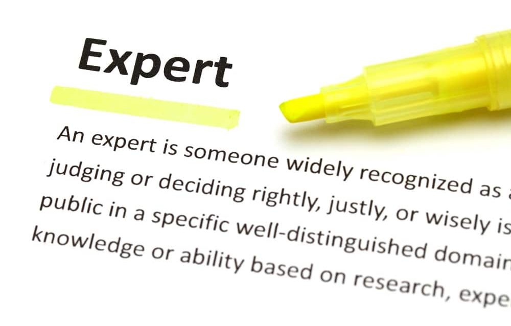 Yellow marker on expert word