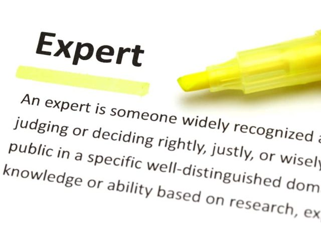 Yellow marker on expert word