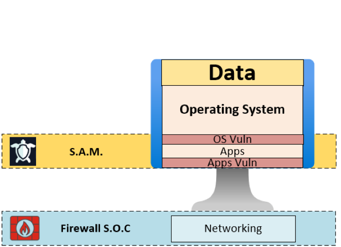 Software Asset Management